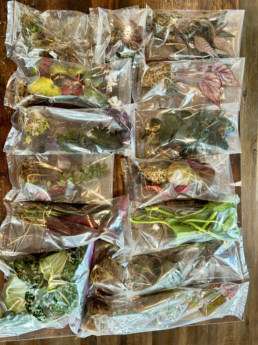 Plant Pack